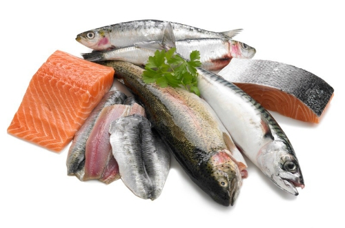 Bị thận yếu nên ăn gì? Nên ăn cá