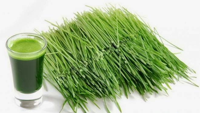 Mẹo dùng lá hẹ chữa yếu sinh lý