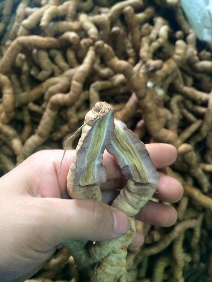 Những điều cấm kị khi dùng ba kích ngâm rượu nhiều người chưa biết