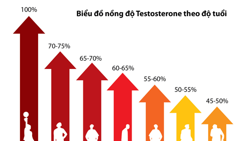 Sự suy giảm nồng độ Testosterone theo độ tuổi ở nam giới