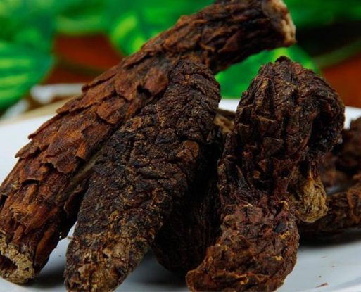 Nhục thung dung cây thuốc quý chữa sinh lý yếu