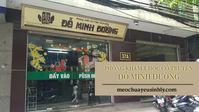 Phòng Chẩn trị Y học Cổ truyền Đỗ Minh Đường