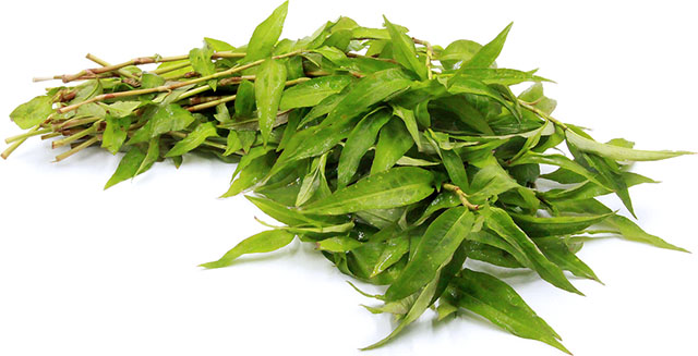 rau răm