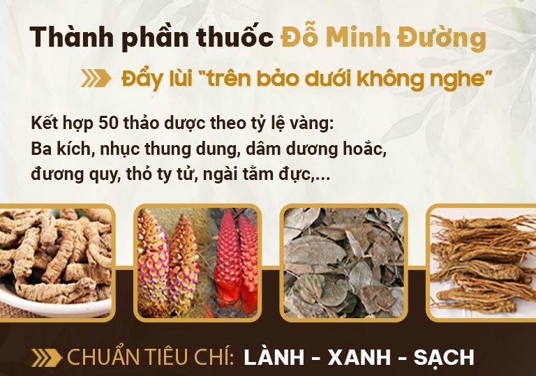 Thành phần bài thuốc Sinh Lý Nam Đỗ Minh